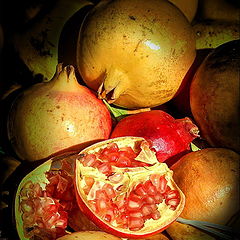 photo "pomegranate"