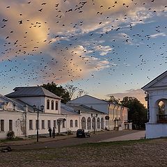 фото "Грачи улетели, или привет Хичкоку"