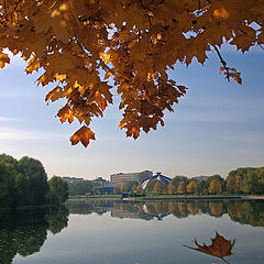 photo "Dance autumn leaf"