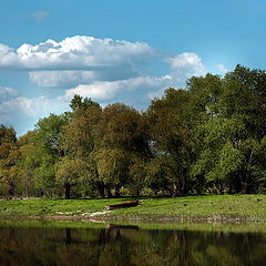 фото "Весенние зарисовки No.1"