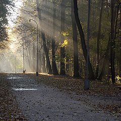 фото "Утренний свет."