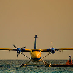 photo "Maldives airlines"