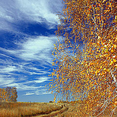 фото "Осени дороги."