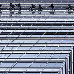 photo "Spiders"