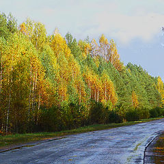 фото "После дождя."