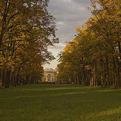 photo "autumn in Tsarskoe Selo"