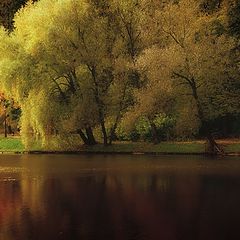 фото "Осень в Царицыно 1"