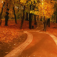 фото "Осень в Царицыно 2"