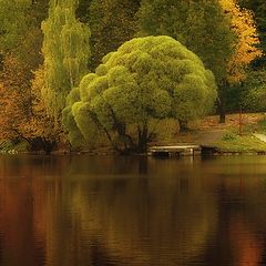 фото "Осень в Царицыно 4"