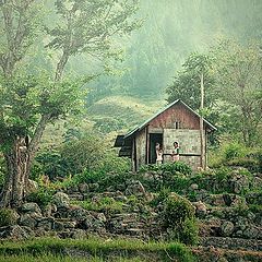 photo "hut on the hill"