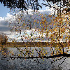 фото "Цвет осени"