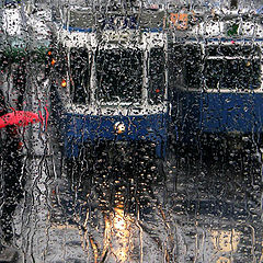 фото "Rainy Day"