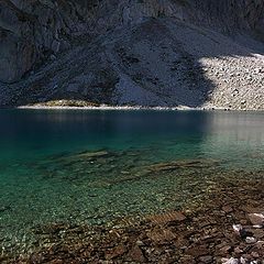 photo "cold green of peace and the sky"