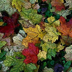 photo "The Autumn Carpet"