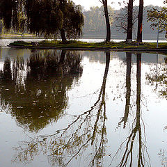 photo "Quiet morning / Тихое утро"