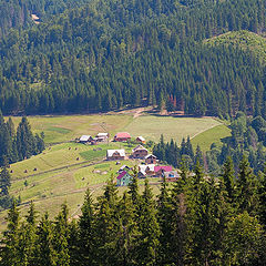 фото "в Карпатах"