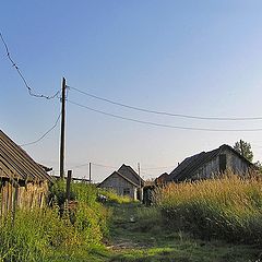 photo "Rural silence."