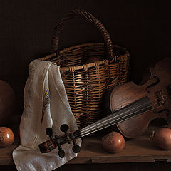 photo "Bulbs and violin"