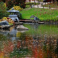 photo "Japanese garden"