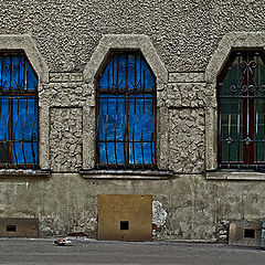 фото "Windows"