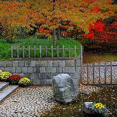 фото "Japanese garden 2"