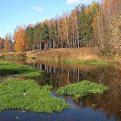 photo "October near Moscow"