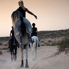 фото "Desert riding"