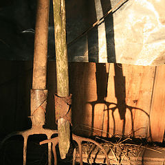 фото "Вилы"