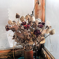 photo "dried roses"