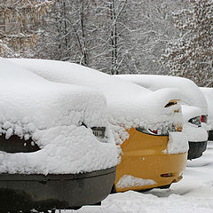 photo "А у нас во дворе... Обычное утро 25 октября 2009г"