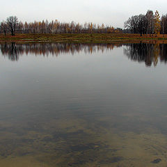 фото "безмолвие"