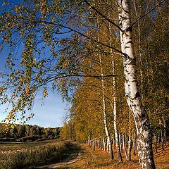 фото "Осенний мотив"