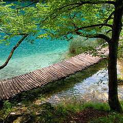 photo "Planked footway of Plitvice-3"