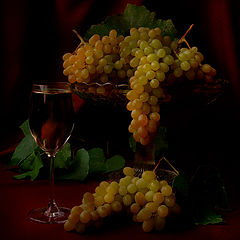фото "Про вино и виноград"