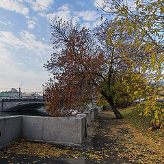 фото "Московская осень"