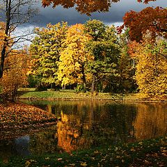 photo "In autumn park"