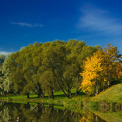 фото "Радостная осень"