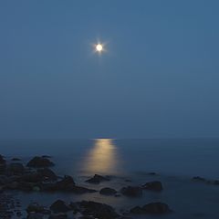 photo "Landscape with Moon"