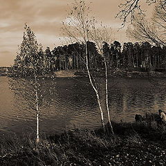 photo "***"