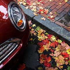 photo "Boston Fall"