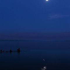 photo "In the moonlight ..."