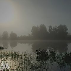 фото "Большое солнце"