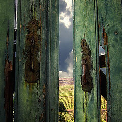 photo "The doors of perception"