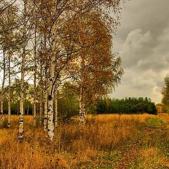 фото "Грусть осенняя..."