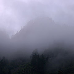 photo "Morning fog"