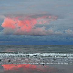 photo "Red Cloud"