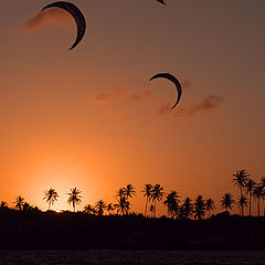 photo "CAUIPE  LAGOON"