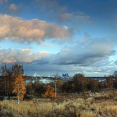 photo "The First Snow"