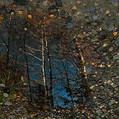 фото "Октябрьская прогулочная"