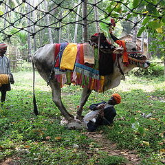 фото "Йог"